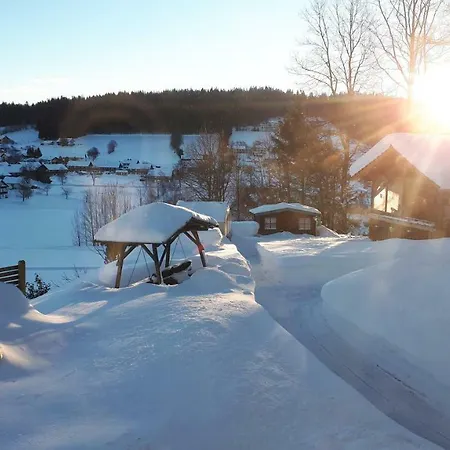 Haus Elisabeth 公寓 纽舒瑙