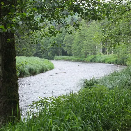 Haus Elisabeth 公寓 *